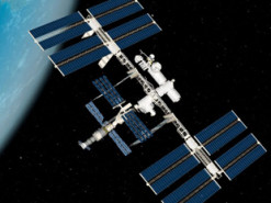 Израиль и NASA запустили совместный проект по исследованию выращивания нута в космосе