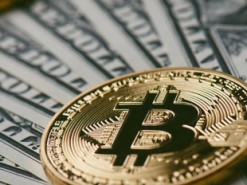 Как заработать и потерять 200 биткоинов за месяц