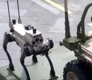 Китай показав незвичайних бойових "роботів-вовків": які завдання вони можуть виконувати