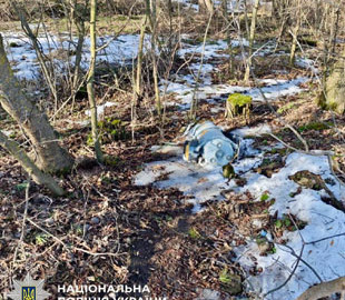 У Києві вилучили нездетоновану бойову частину ворожого дрона «Герань-2»