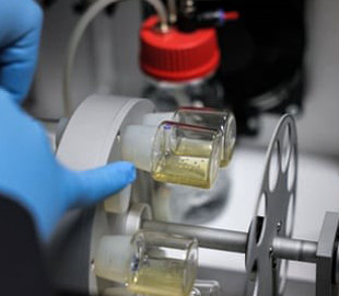 Біокомп'ютери та читання думок: 6 найбільших наукових проривів 2023 року