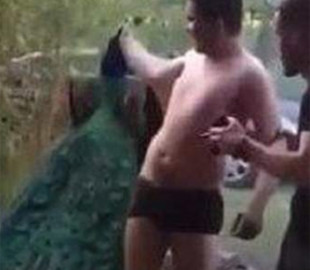 18-річний юнак з Буковини уникнув покарання за жорстоке вбивство павича