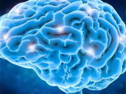 Нейротехнологии - оружие будущего