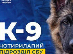 СБУ презентувала фільм про роботу своїх чотирилапих бійців