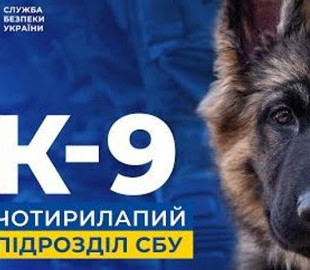 СБУ презентувала фільм про роботу своїх чотирилапих бійців