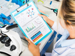 Рынок медийной интернет-рекламы за полгода собрал 1,985 миллиарда гривен