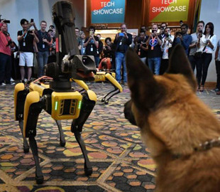 Павло Фукс розповів, чим закінчилася зустріч робопса Boston Dynamics з живою собакою