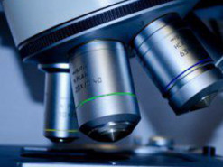 Мобільний додаток виявлятиме Covid-19 - вчені розробляють унікальну програму