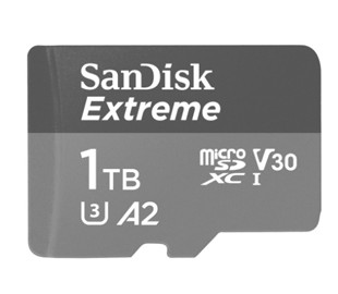 В мире наступила эра терабайтных карт памяти