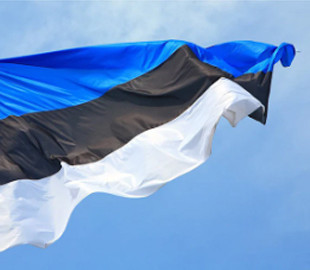 Естонія планує виділяти 4% ВВП на оборону для стримування Росії