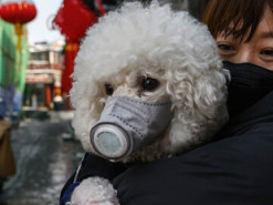 Очумелые ручки: пользователей Сети рассмешили креативные маски
