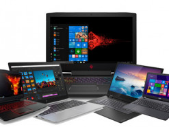Лучшие из лучших: подборка трендовых ноутбуков 2020