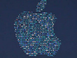 Названы страны, чаще всего запрашивающие у Apple данные пользователей