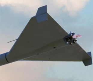 Стубб відповів, чи збиватиме Фінляндія російські дрони, якщо вони з'являться у її небі