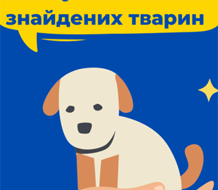 В Україні створили додаток для пошуку зниклих тварин