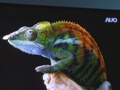 Компания AUO показала двусторонний сворачивающийся дисплей OLED