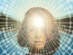 Кількість жінок в українському IT за п'ять років збільшилася в чотири рази