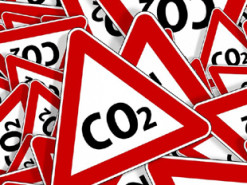 Найбагатші люди світу вже використали свою частку вуглецю на 2025 рік