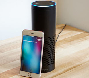 Голосовые помощники Siri и Alexa поженились в Австрии