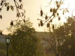 Укргідрометцентр розповів, якою буде погода на цих вихідних в Україні