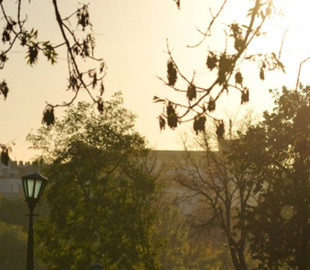 Укргідрометцентр розповів, якою буде погода на цих вихідних в Україні