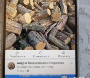 Продавав неіснуючі дрова у мережі: поліцейські викрили підозрюваного у понад 30 фактах шахрайських дій