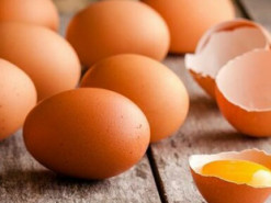 Лікарі розповіли про користь курячих яєць
