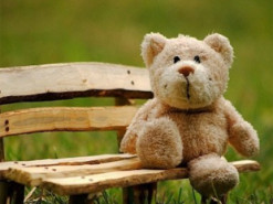 Поліція України викрила мережу педофілів, які експлуатували російських дітей