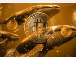 Анонімний власник криптовалюти раптово придбав біткоїни на $ 142 мільйони