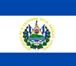 МВФ: Сальвадор не купував біткоїни з лютого 2025 року