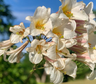 Гороскоп на 19 серпня для всіх знаків зодіаку: день, коли важливо уникати місць скупчення людей