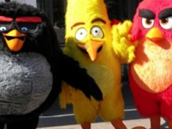 Разработчик Angry Birds удвоил прибыль