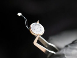 Скандал з прослуховуванням струсонув виборчу кампанію в Болгарії