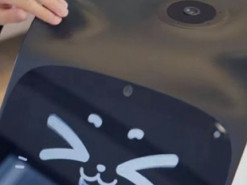 В Лас-Вегасе покажут кошку-робота, заменившую официанта