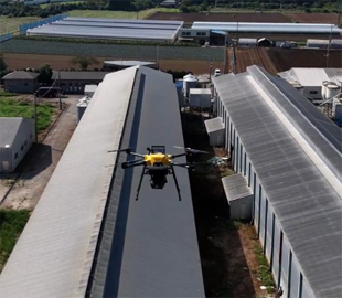 Японські фермери почнуть використовувати лазерні дрони, щоб захистити курей від птахів