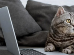 Названі кращі ноутбуки для покупки в 2023 році для роботи, ігор та навчання