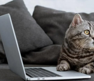 Названі кращі ноутбуки для покупки в 2023 році для роботи, ігор та навчання