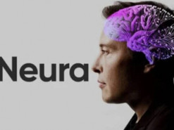 Neuralink готує перший мозковий імплант для відновлення зору