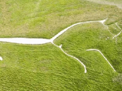 Експерти розкрили секрети "білих коней" Англії: незабаром вони можуть зникнути повністю