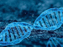 Ученые впервые собрали воедино весь геном человека