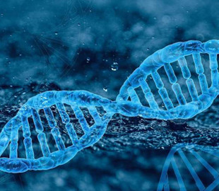 Ученые впервые собрали воедино весь геном человека