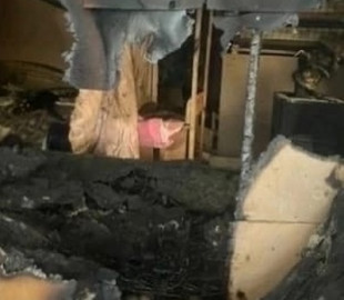 У Брянську підпалили притулок для тварин, загинули 52 кішки та собаки