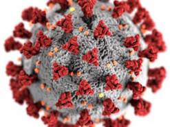 Пользователи создали самый мощный суперкомпьютер для поиска вакцины от COVID-19