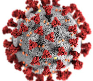 Пользователи создали самый мощный суперкомпьютер для поиска вакцины от COVID-19