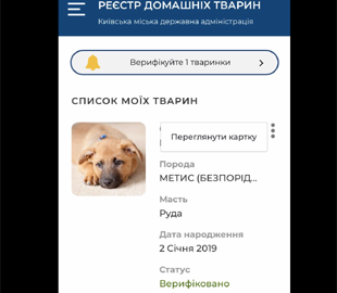 В Киеве потерявшихся животных будут искать с помощью QR-кодов