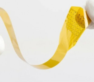 США випробовують конкурента нейроімпланта Neuralink: у чому його особливість