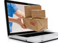 Таможенный жук в посылочном муравейнике