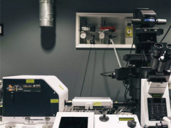 Универсальная вакцина от COVID-19 прошла испытания