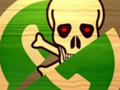 Мільярди користувачів під загрозою: екс-менеджер WhatsApp звинувачує Meta у порушенні безпеки