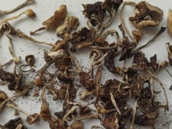 Чоловік через Інтернет збував особливо небезпечні наркотичні і психотропні речовини